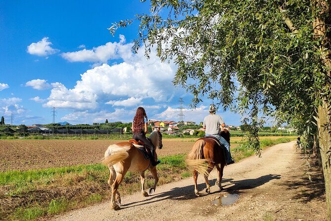 Horseback Riding with Wine and Food Tasting in Lazise Countryside - Who Should Consider This Tour?