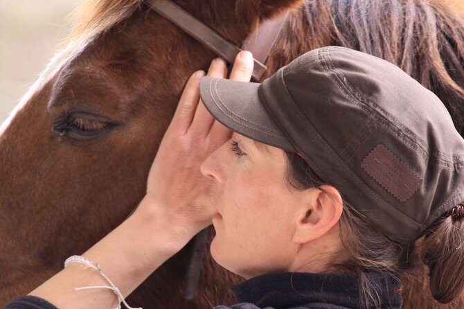 Horsebackriding - explore Tuscan nature - The Horses and Guides: A Vital Part of the Experience
