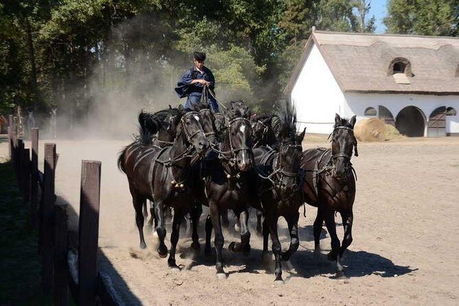 Horseshow on the Hungarian Puszta, private tour from Budapest with entry! - Who Will Love This Experience?