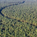 Hot Air Balloon Flight Over Trakai(transfer included) or Vilnius - Final Thoughts: Is It Worth It?