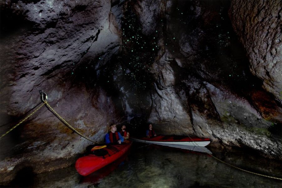 Hot Pools Kayak & Evening Barbecue - Who Should Consider This Tour?