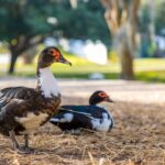 Hot Springs NP Self Guided Driving and Walking Audio Tour - Stops and Highlights: What You Will See