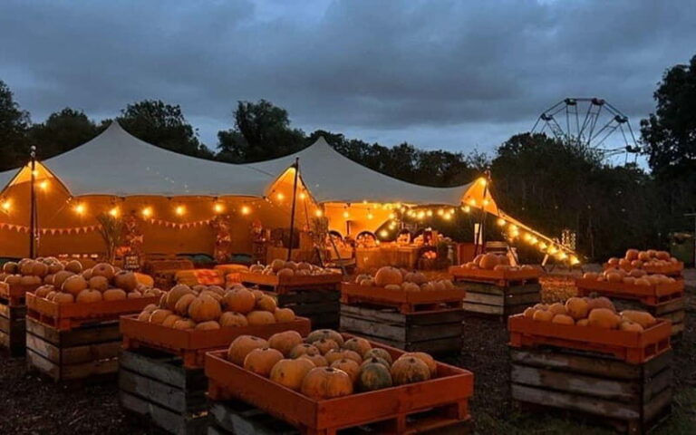 Hounslow: Pumpkin Patch Plus Entry to Hobbledown Heath - A Deep Dive into the Hobbledown Heath Experience