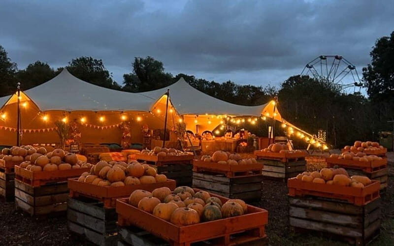 Hounslow: Pumpkin Patch Plus Entry to Hobbledown Heath - A Deep Dive into the Hobbledown Heath Experience