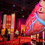 Houston: 1-Day or 3-Day Museum Pass - What’s Included and What’s Not?
