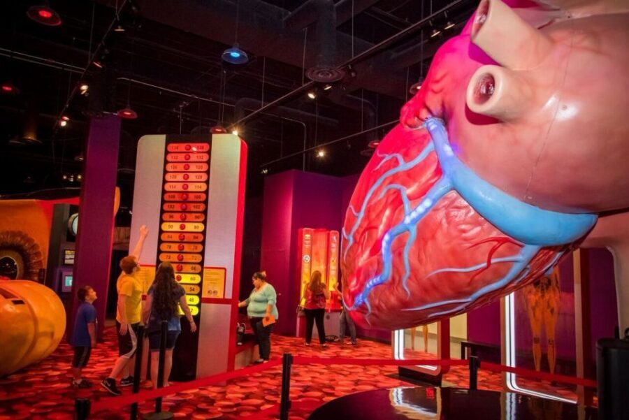 Houston: 1-Day or 3-Day Museum Pass - What’s Included and What’s Not?