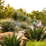 Houston: Houston Botanic Garden Entry Ticket - Final Thoughts: Is the Houston Botanic Garden Worth Your Time?