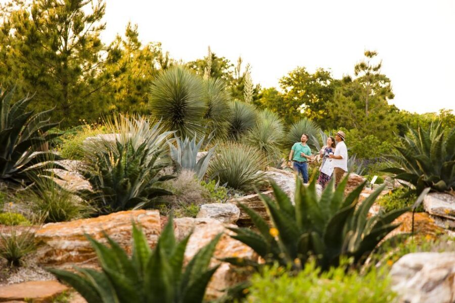 Houston: Houston Botanic Garden Entry Ticket - Final Thoughts: Is the Houston Botanic Garden Worth Your Time?
