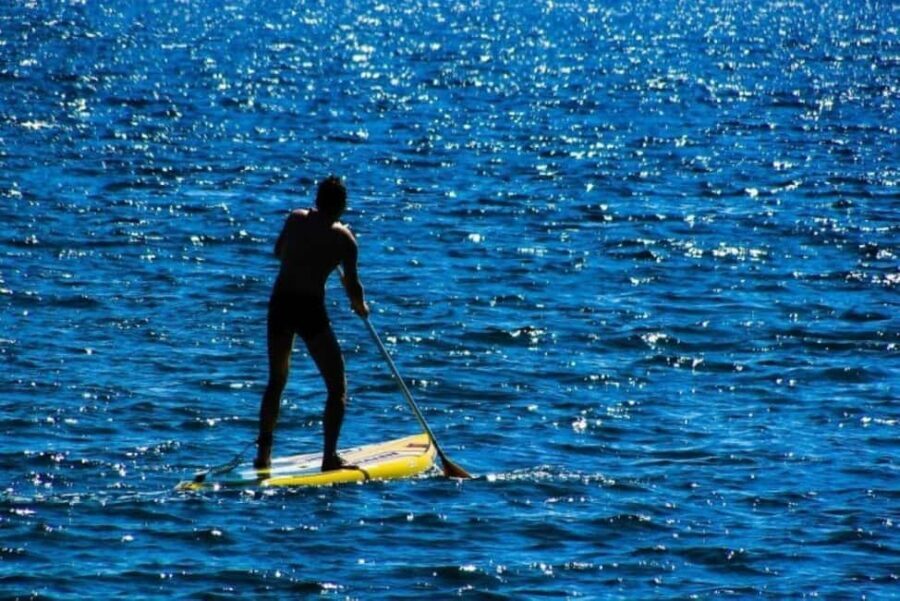 Houston: Kayak and Paddleboard Rental - An In-Depth Look at Houston’s Kayak and Paddleboard Experience