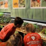Houston Museum of Natural Science: Cockrell Butterfly Center - What the Reviews Say