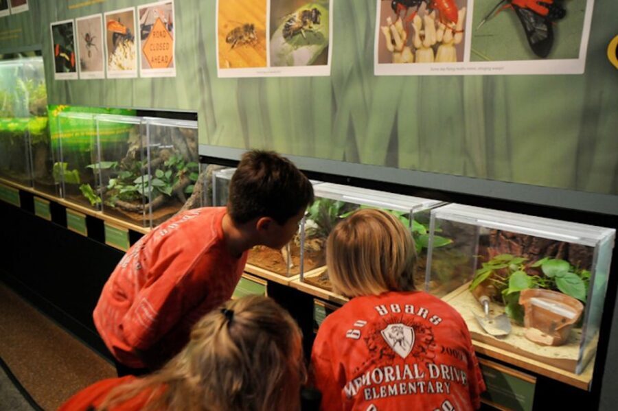 Houston Museum of Natural Science: Cockrell Butterfly Center - What the Reviews Say