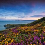 Howth Coastal Half-Day Bus Tour from Dublin with Live Guide - The Value of the Experience