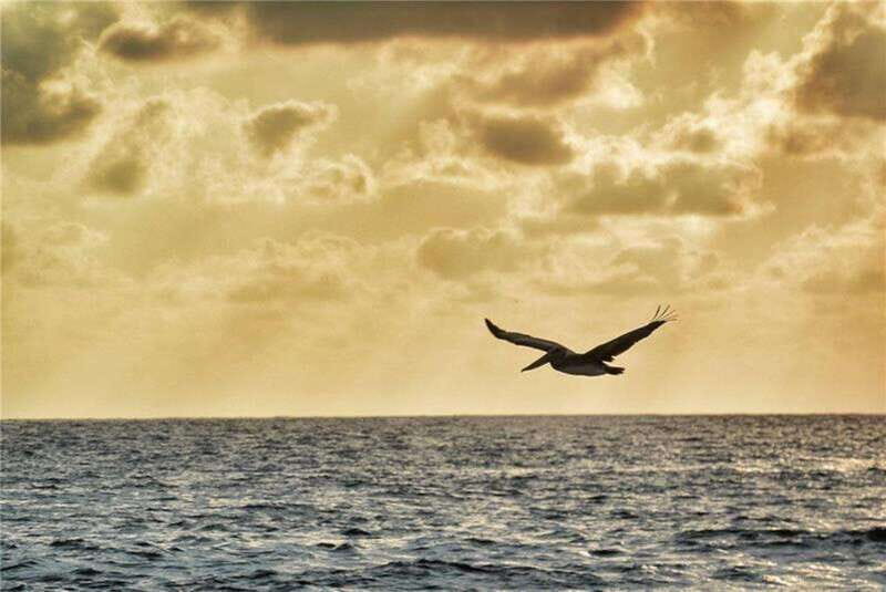 Huatulco: City Tour and Viewpoints