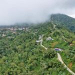 Huatulco: Pluma Hidalgo Coffee Origin and Essence. - Exploring the Heart of Oaxaca’s Coffee Culture