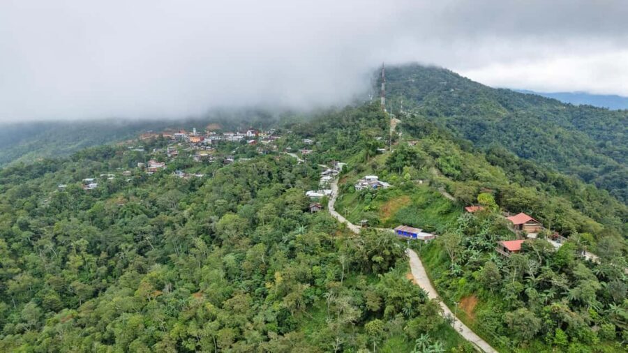 Huatulco: Pluma Hidalgo Coffee Origin and Essence. - Exploring the Heart of Oaxaca’s Coffee Culture