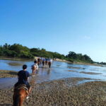 Huatulco:Turtle release,horseback riding and bioluminescence - A Full Breakdown of the Huatulco Adventure