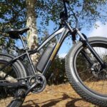 Humboldt: Electric Bike Rentals (4-Hour or Full Day options) - What to Expect on Your Ride