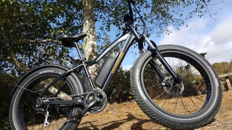 Humboldt: Electric Bike Rentals (4-Hour or Full Day options) - What to Expect on Your Ride