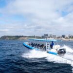 Humpback Whale Encounter Tour from Newcastle - Who Will Love This Tour?