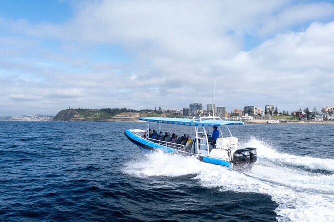 Humpback Whale Encounter Tour from Newcastle - Who Will Love This Tour?