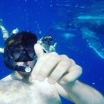 Humpback Whale Swim from Tongatapu island with transfers & lunch - Why Travelers Fall in Love with This Experience