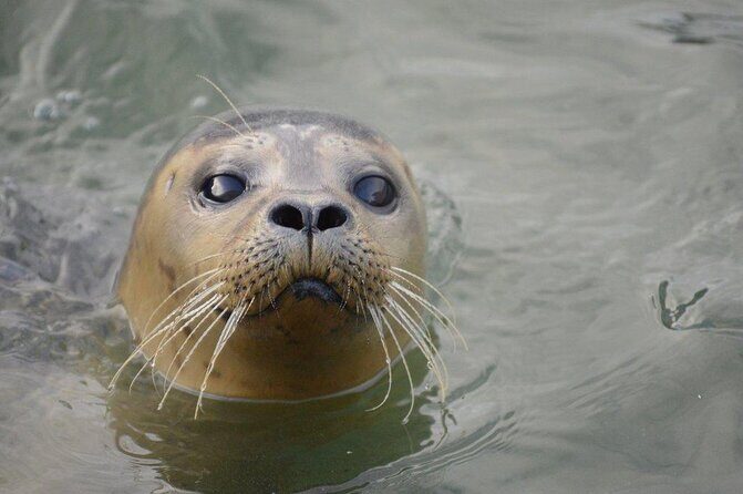 Hunstanton SEA LIFE Sanctuary General Admission Ticket - Who Will Love This Experience?