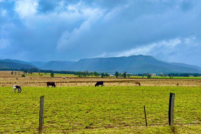 Hunter Valley Escape A Day of Wine Art and Aussie Countryside - What Makes This Tour Stand Out?