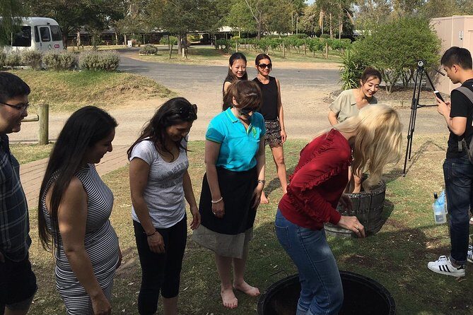 Hunter Valley Grape Stomping - What to Expect and How it Works
