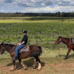 Hunter Valley Horse Ride - 90 Minutes -Vineyard & Mountain Views - Who Is This Tour Best For?