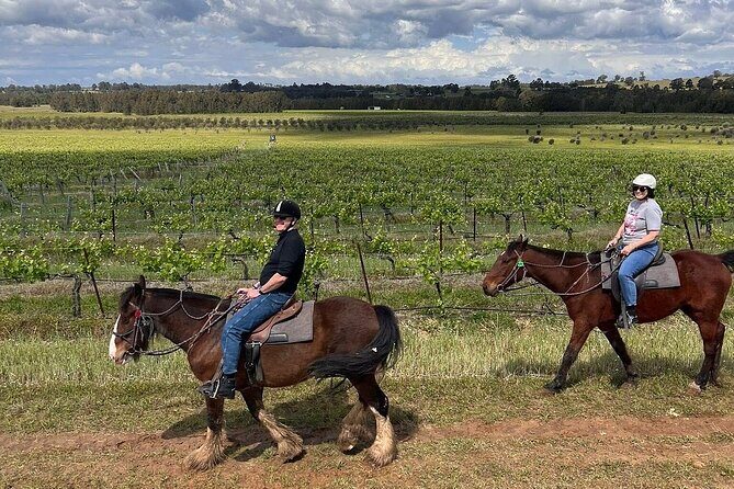 Hunter Valley Horse Ride - 90 Minutes -Vineyard & Mountain Views - Who Is This Tour Best For?