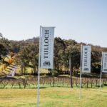 Hunter Valley: Tulloch Wine Tasting and Chocolate Pairings - Who is This Tour Best For?
