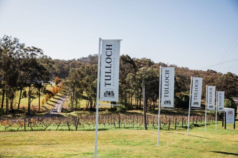 Hunter Valley: Tulloch Wine Tasting and Chocolate Pairings - Who is This Tour Best For?