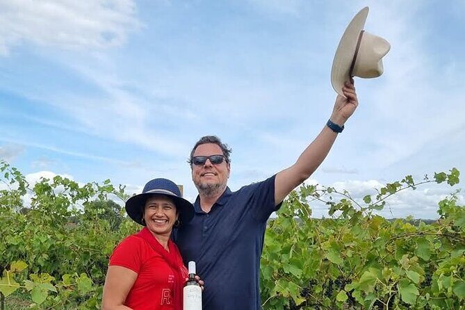 Hunter Valley Wine and Cheese Tasting Day Tour from Sydney - Price and Value Considerations