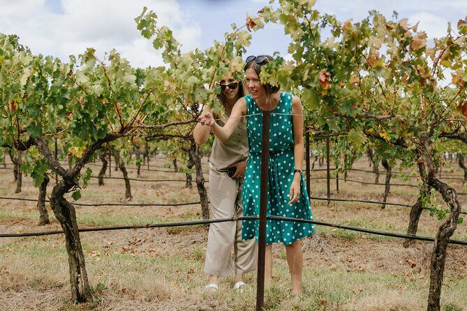 Hunter Valley Wine, Food & Vine Tour with Behind the Scenes - FAQs