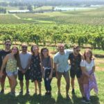 Hunter Valley Wine Tasting Private Tour From Sydney - Exploring the Hunter Valley: What to Expect