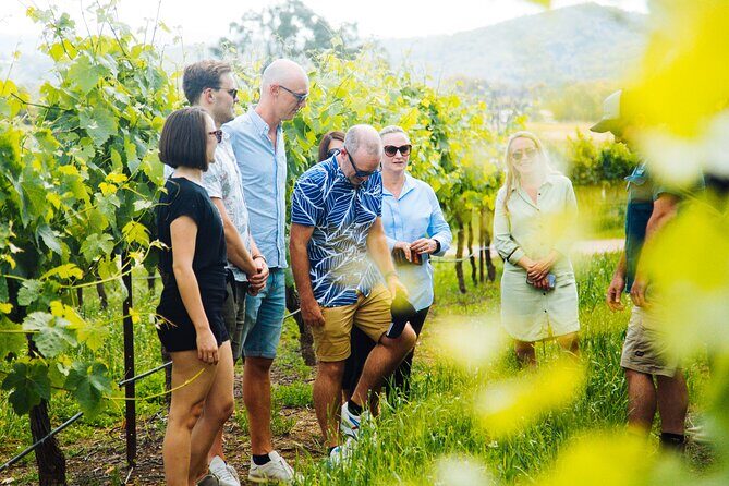 Hunter Valley Wine Tour ex Hunter Valley - Lunch, Cheese, Chocolate, Distillery - Who is This Tour Best For?