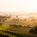 Hunter Valley Winery - Premium Tasting for Private Group Tours - Final Thoughts