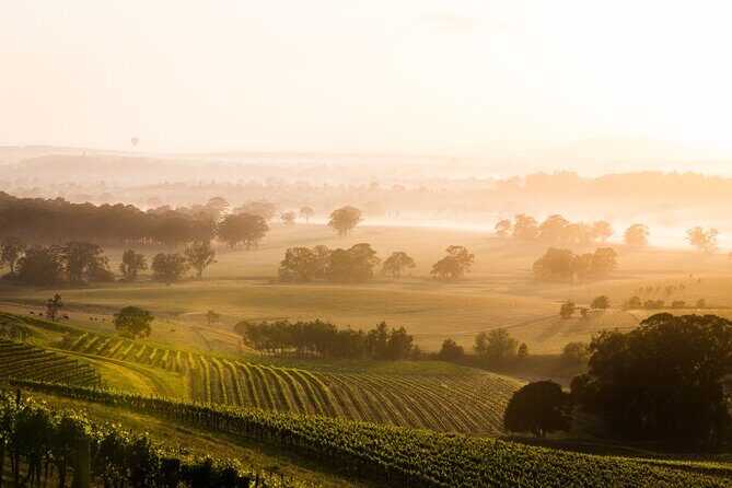 Hunter Valley Winery - Premium Tasting for Private Group Tours - Final Thoughts