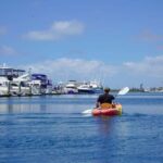 Huntington Beach Kayak Rental - How the Experience Unfolds