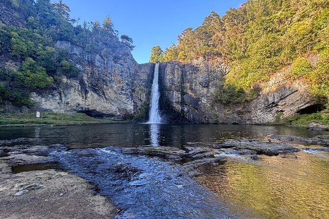 Hunua Falls and Blue Springs (Te Waihou): Private Tour - Who Should Consider This Tour?