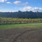 Huon Valley Wine and Cider Tour - Hobart and SE Tasmania - Final Thoughts