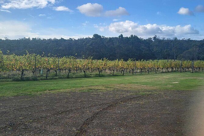 Huon Valley Wine and Cider Tour - Hobart and SE Tasmania - Final Thoughts