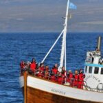 Húsavík: Family-Run and Guided Whale Watching Tour - Practical Details and Value