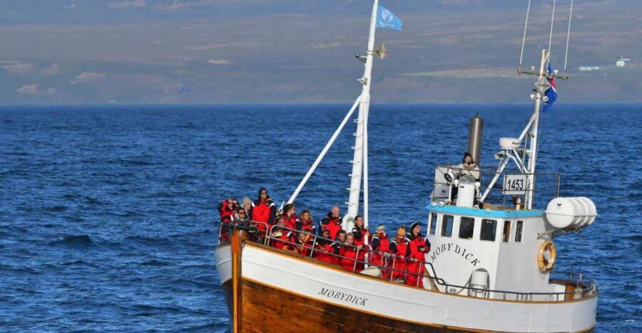 Húsavík: Family-Run and Guided Whale Watching Tour - Practical Details and Value