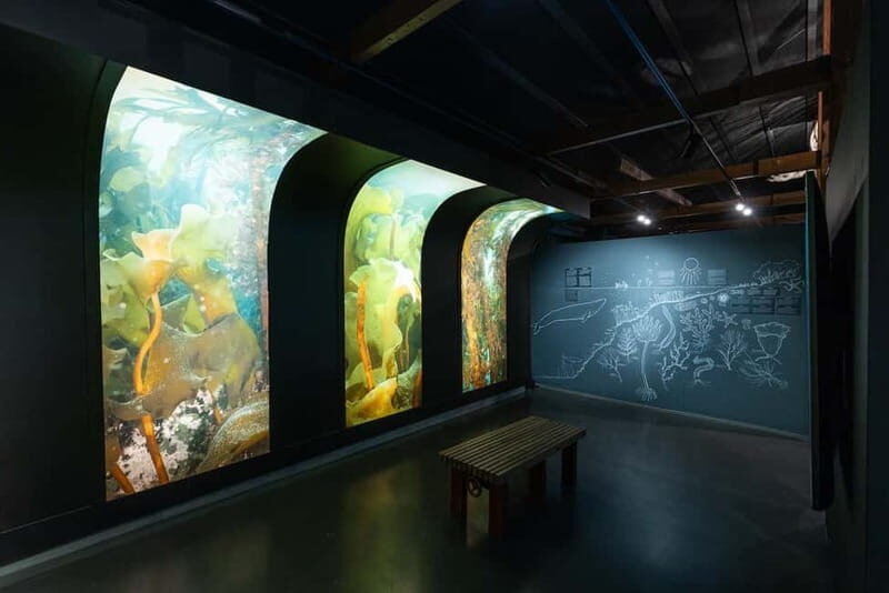 Húsavík: Whale Museum Entry Ticket - Exploring the Húsavík Whale Museum — What to Expect