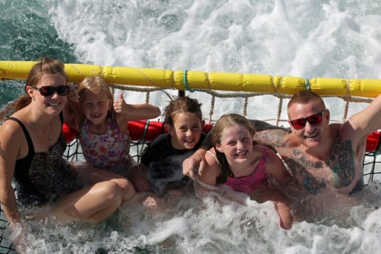 Huskisson: Dolphin Cruise & Boom Netting Experience - A Closer Look at the Experience