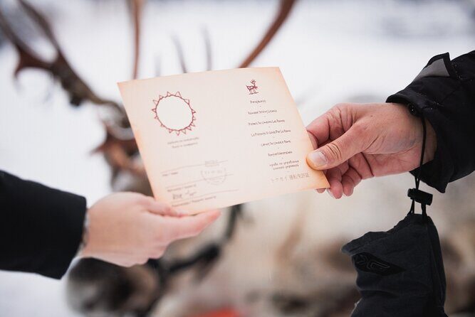 Husky and Reindeer Experience With Snowmobiling - Exploring the Tour: What to Expect