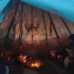 Husky Farm Visit with HuskySled Ride and Campfire - Practical Details and Value Analysis