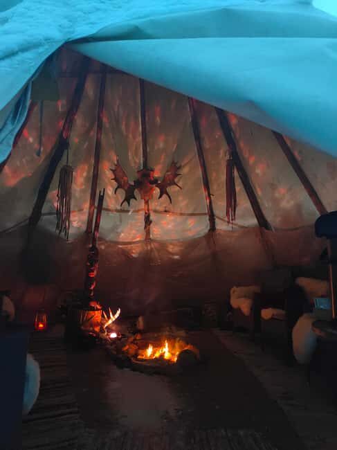 Husky Farm Visit with HuskySled Ride and Campfire - Practical Details and Value Analysis