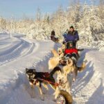 Husky Ride Private Tour from Krakow - In-Depth Review of the Husky Ride Private Tour from Krakow